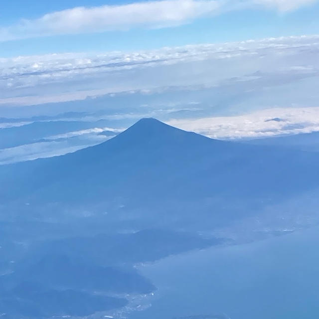 皇居外苑どらやき