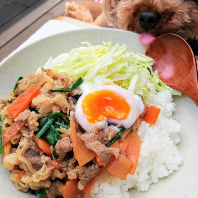 dミールキット！試作で作った牛肉の甘辛丼