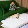 赤ちゃん学　つかまり立ちからよじ登り