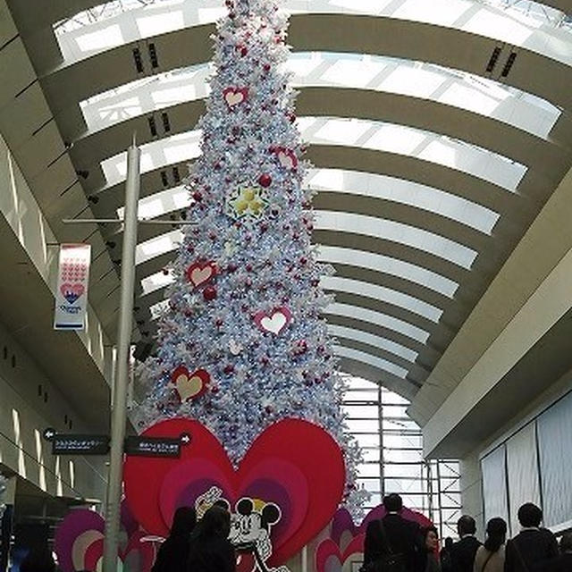 クイーンズスクエアのクリスマスツリーと巨大研修会