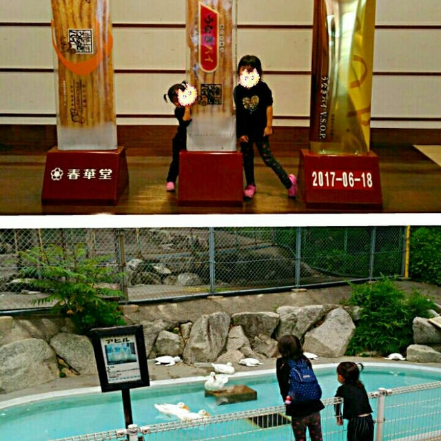 生後32日目、クラブハリエ、イタリアンリゾット、動物園、ククパニュース掲載、食事の記録6/18。