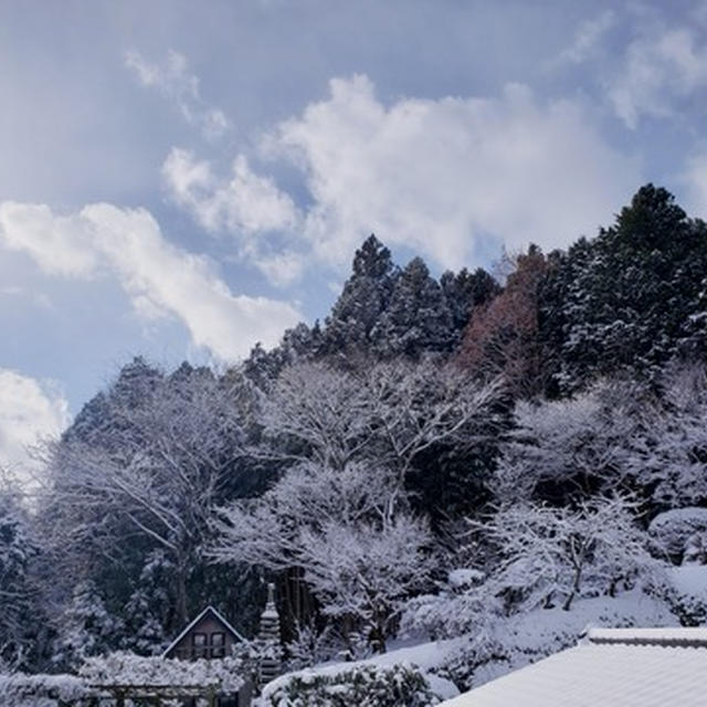 今年を振り返って～ありがとうございました～