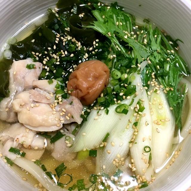 鶏肉とねぎの梅わかめうどん