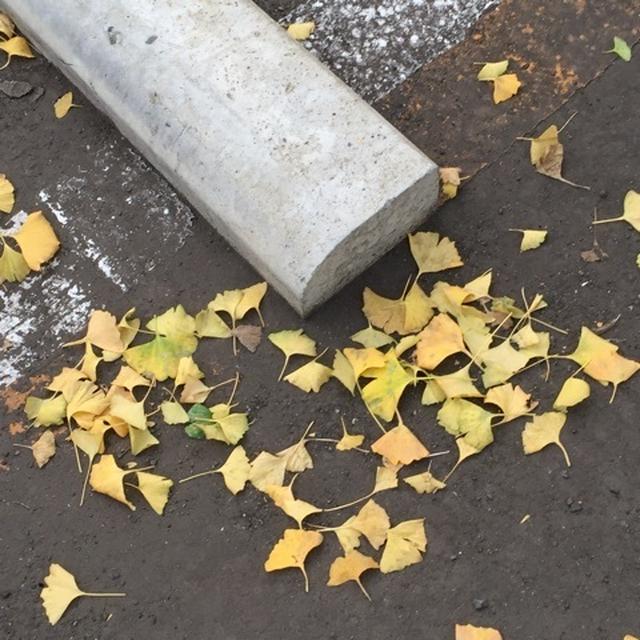 とてもくだらないつぶやき
