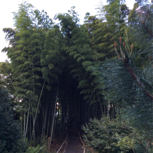 蒸し暑い秋の京都の1日
