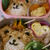 クマお弁当♪