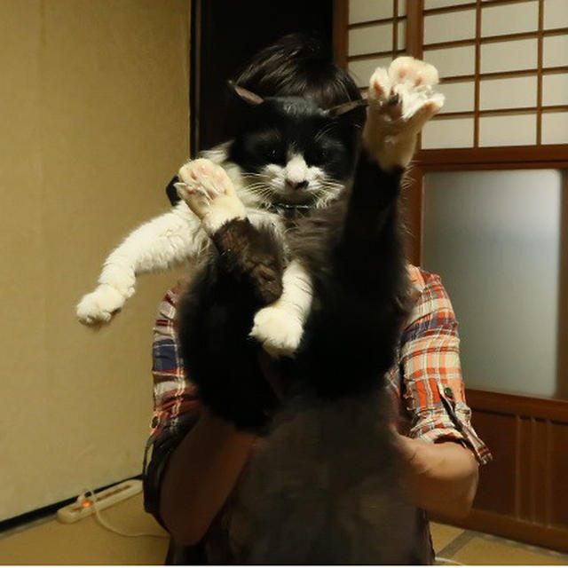 ごんぼさんとのツーショット