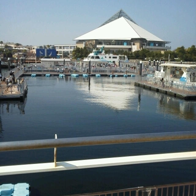 水族館へ！横浜・八景島シーパラダイス☆キッズ探検隊