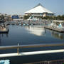 水族館へ！横浜・八景島シーパラダイス☆キッズ探検隊