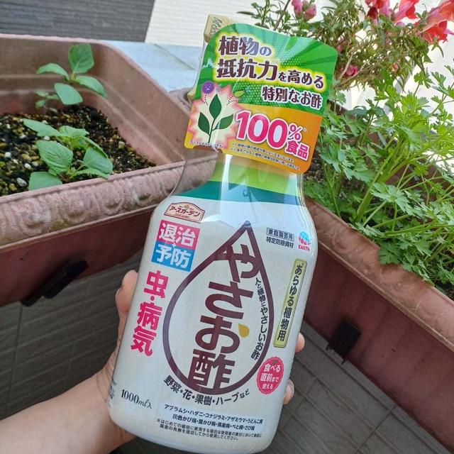 モラったにゃ　お酢のチカラで害虫病気予防「やさお酢」