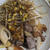 痩せる牛肉の選び方！（レシピ付き♥）