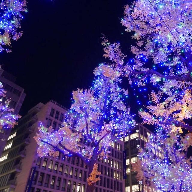 御堂筋イルミネーション2022淀屋橋、最近撮った写真#ameba写真部