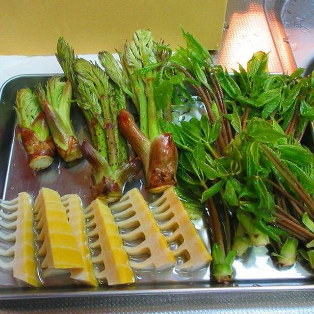 山菜天ぷら