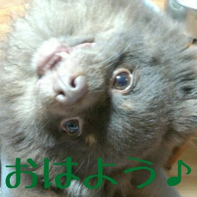 今日の1枚☆