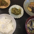 茶色いお昼と『くまとやまねこ』