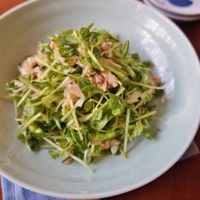 【ご報告】豆苗の6つのレシピが暮らしニスタの特集に選ばれました♡感謝