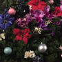 丸の内ブリックスクエアのクリスマスツリー＆ちょこっと近況