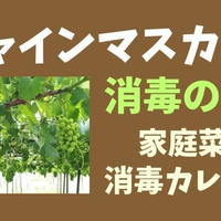 シャインマスカット栽培★消毒のコツと年間消毒カレンダー2(家庭菜園用)