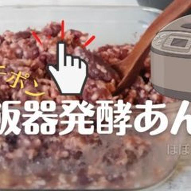【動画】スイッチポン♪ほぼほったらかし炊飯器発酵あんこ