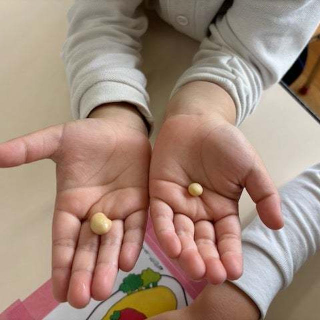 三鷹若葉幼稚園さま食育レッスン【大豆】