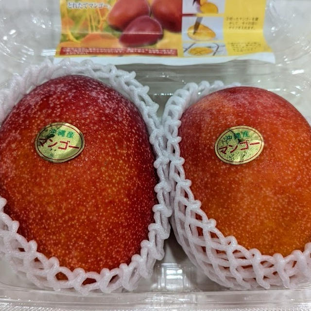 沖縄土産のマンゴーと塩♪