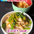 菜の花きつね丼
