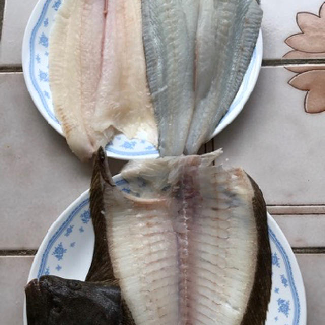 鮃のカプリースとカルパッチョ＆鯛の白子と茸のホイル焼き