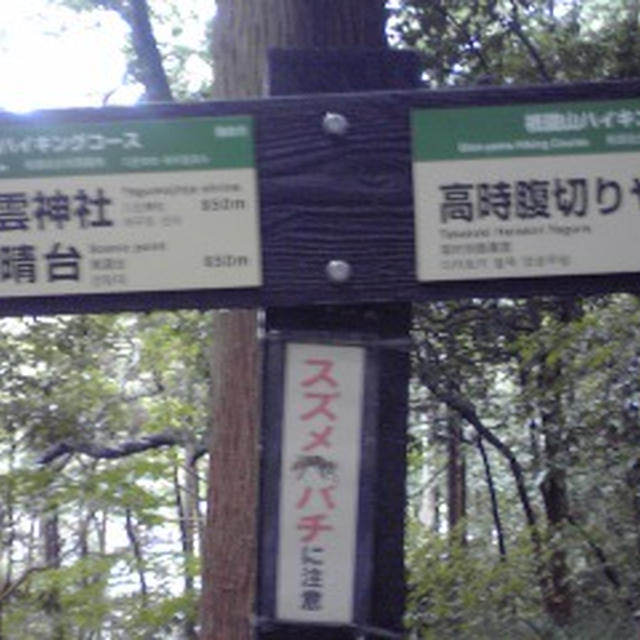 まず手始めに、祇園山ハイキングコースを歩きました♪