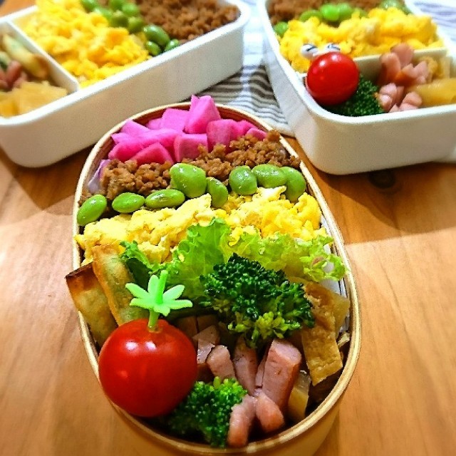 そぼろ弁当＆　使い捨て容器でハンバーグ弁当