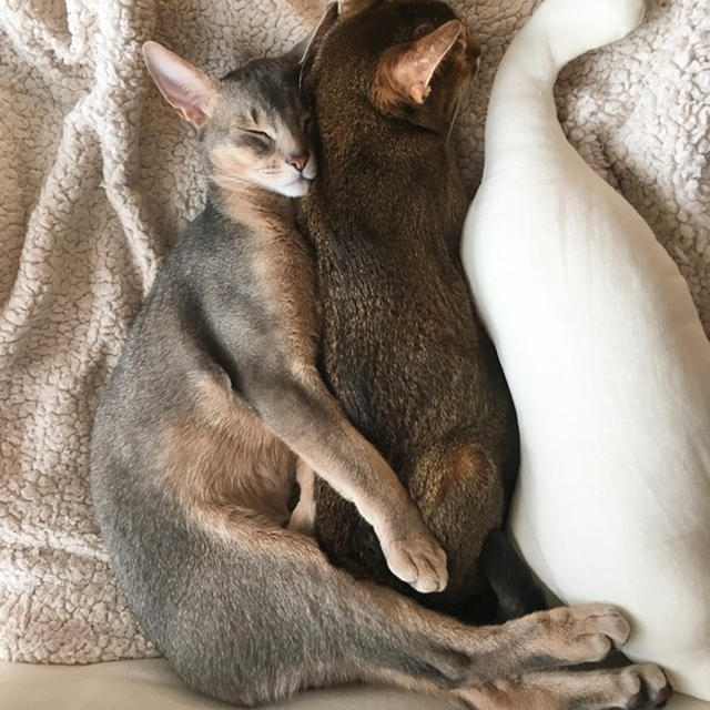 ちび子にベッタリなぼくちん