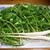 夏野菜祭り報告　その２