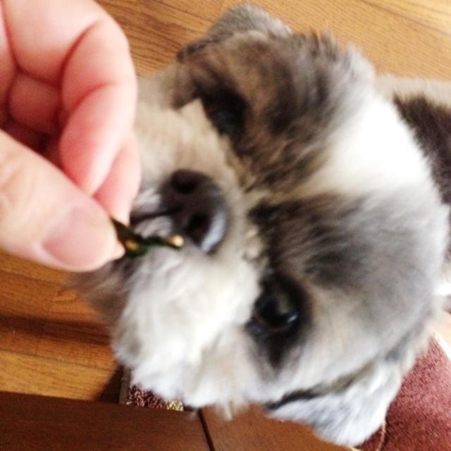 ぼんちゃん♪