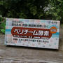 酵素がはたらく消化薬！ベリチーム酵素
