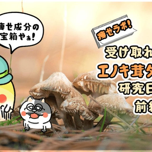痩せラボ！受け取れ栄養！エノキ茸ダイエット研究日誌！（前編）
