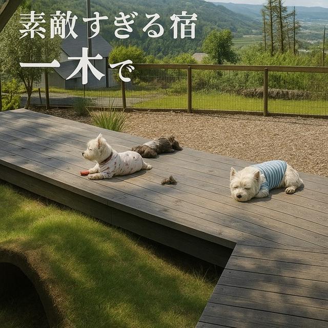 【一木 -hitotsuki- 宿泊記】愛犬と楽しむプライベートBBQ＆アペロ体験