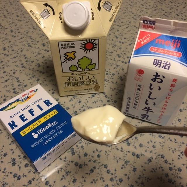ケフィアヨーグルト
