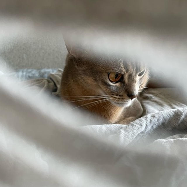 いざという時の行動を見直さなければ…