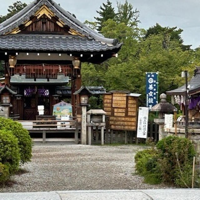 行ったり来たり