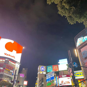 東京在住とは思えないほどキョロキョロする駅