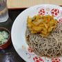 冷やしかき揚げ蕎麦 460円 駅ナカ蕎麦で