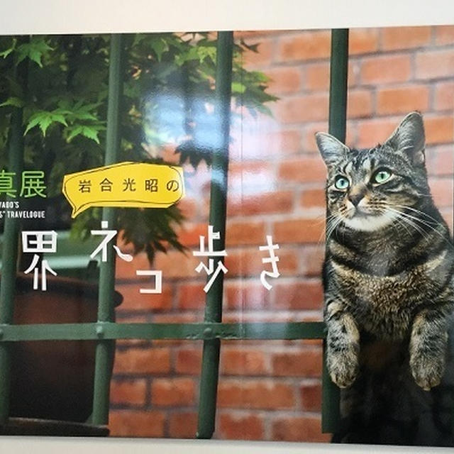 岩合光昭さんの写真展「世界ネコ歩き」トークショー＆サイン会へ♪