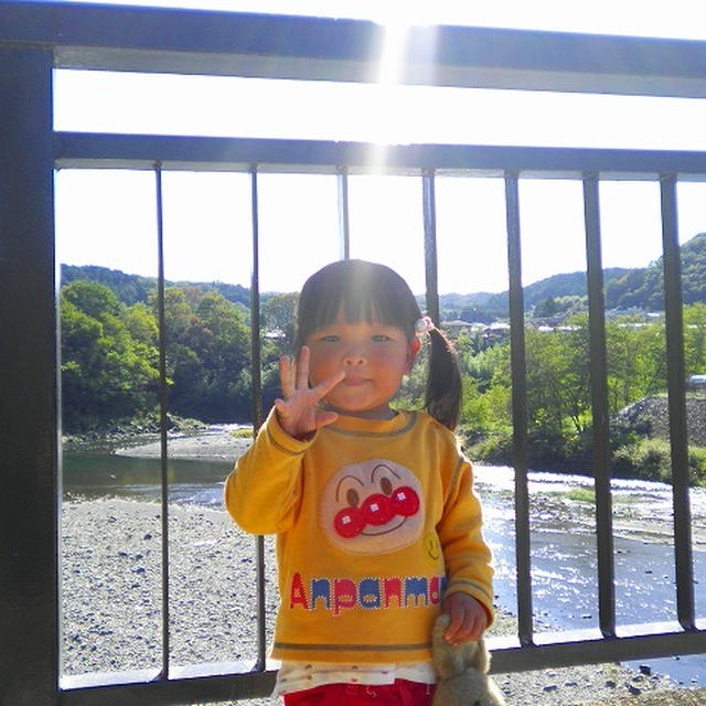 本ズワイガニで、かにのフルコース