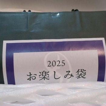 ［福袋2025 まとめ］49袋、購入金額は約28万円でした