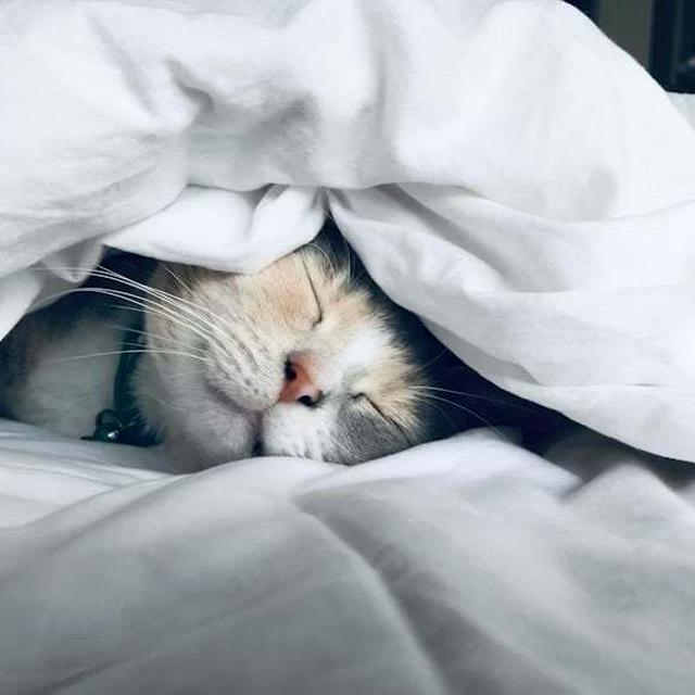 どこで走ってるの？