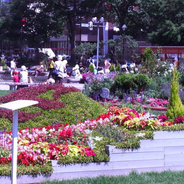 大通公園と串パーティー