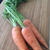 無農薬野菜。
