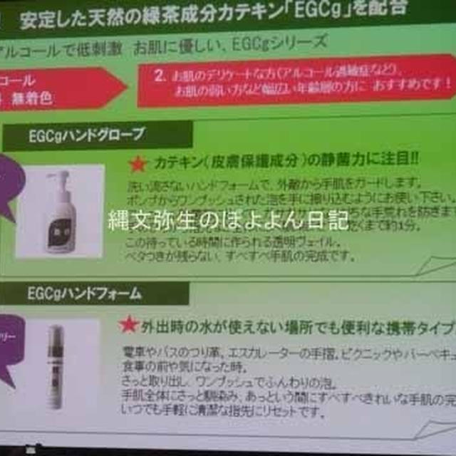 緑茶カテキン「EGCg」配合ハンドケア製品 EGCgハンドグローブ＆ハンドフォーム