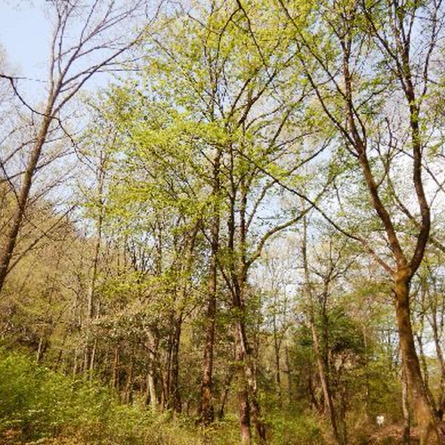岐阜のお山へお出掛け