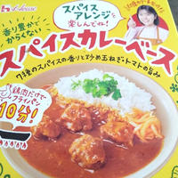 簡単カレー　スパイスカレーベース