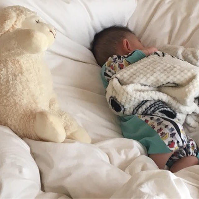 冬のお散歩 兼 買い物問題